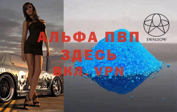 сатива Бронницы